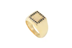 Louise Hendricks Bagues^Chevaliere - Polydoros Black
